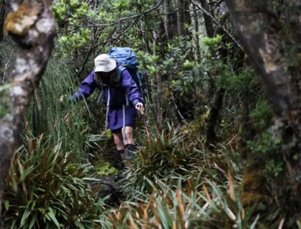 Sea To Summit Deluge Rain Jacket 2 Sea To Summit Deluge Rain Jacket - Image 2